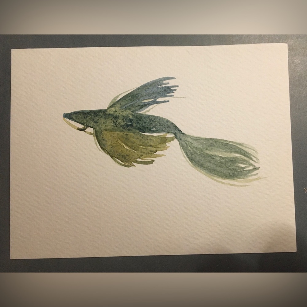 Watercolour Painting: Swimming Betta